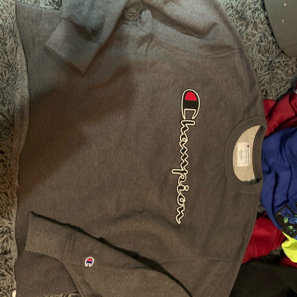 Crop champion sweatshirt